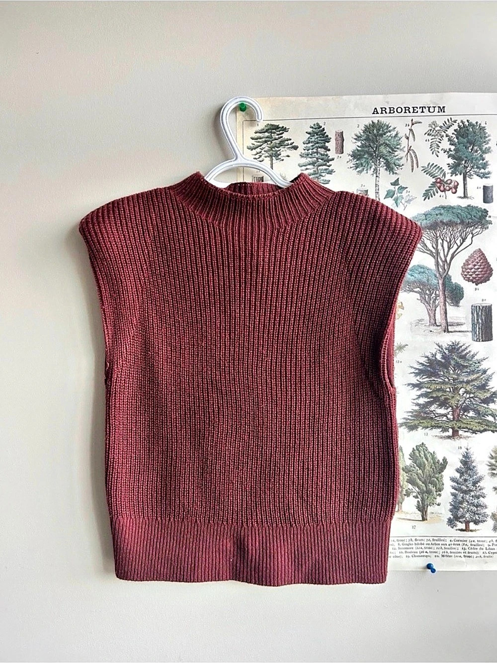 Babaton Hazlitt Sweater Vest Hazlitt Burgundy Sleeveless Sweater Vest XS